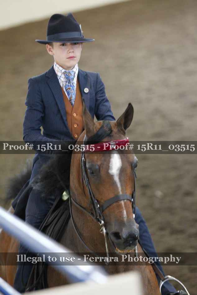 Proof 15R11_03515