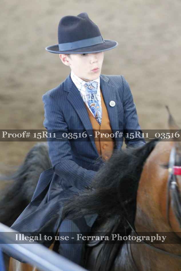 Proof 15R11_03516