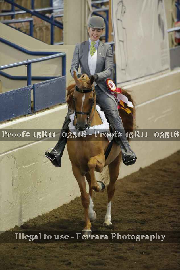 Proof 15R11_03518