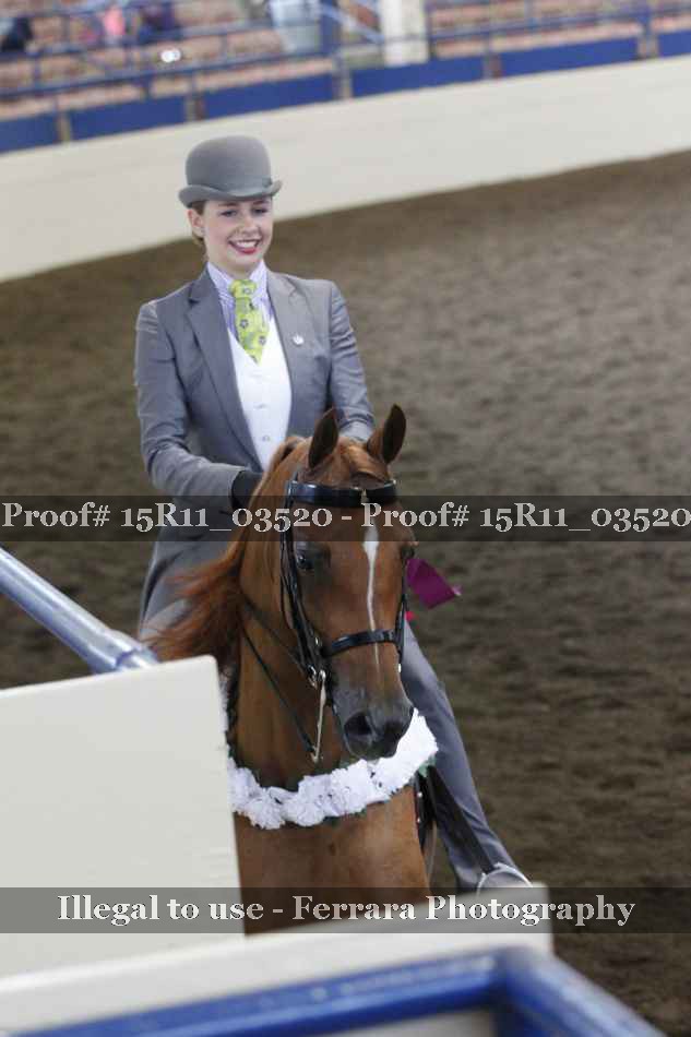Proof 15R11_03520