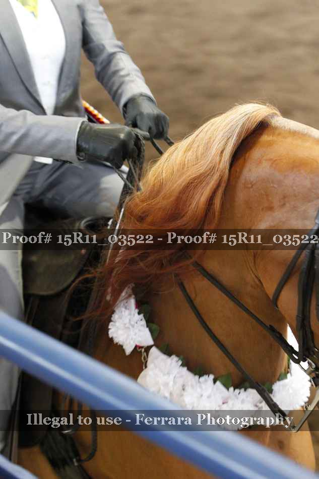 Proof 15R11_03522
