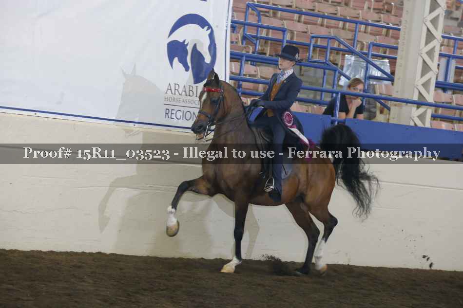 Proof 15R11_03523