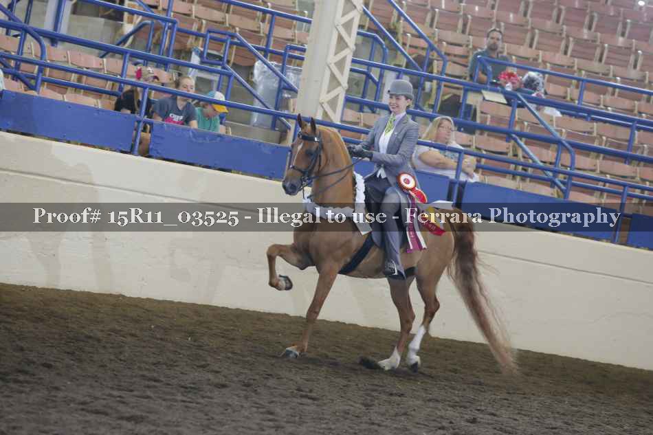 Proof 15R11_03525
