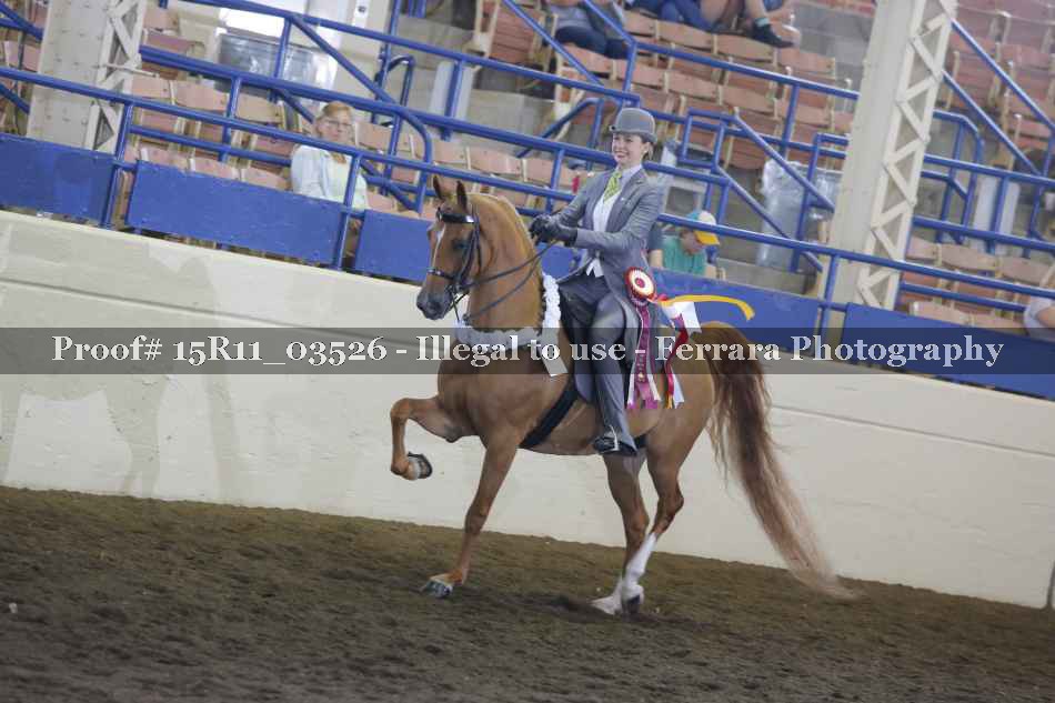 Proof 15R11_03526