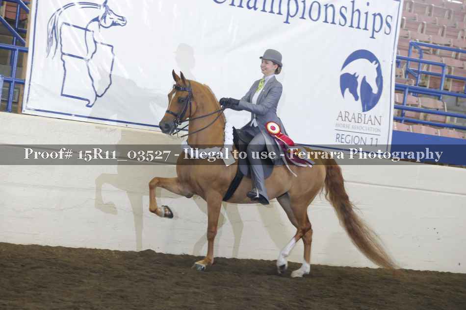 Proof 15R11_03527