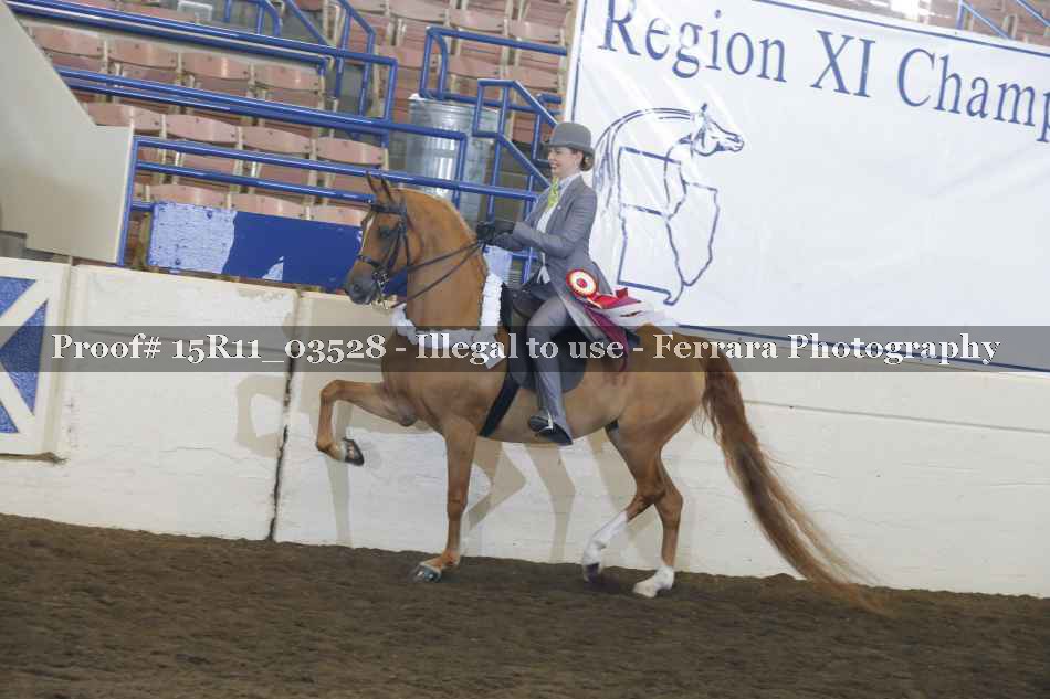 Proof 15R11_03528
