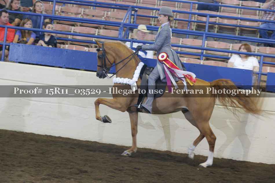 Proof 15R11_03529