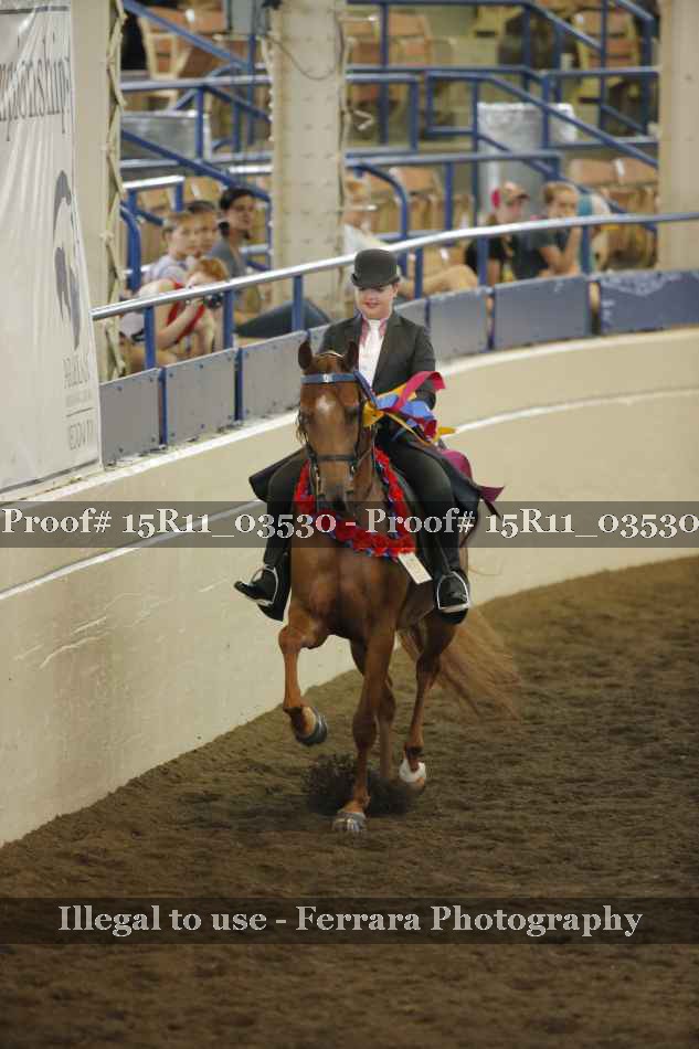 Proof 15R11_03530