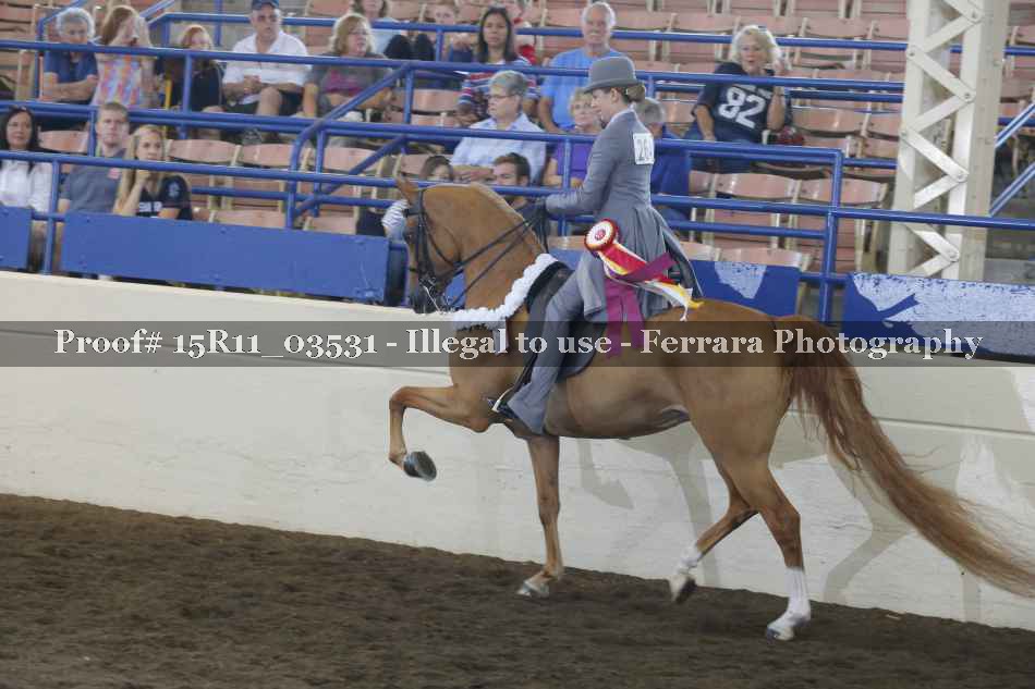 Proof 15R11_03531