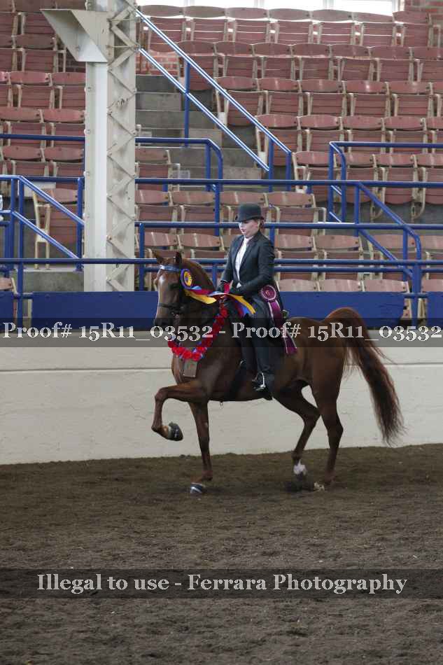 Proof 15R11_03532