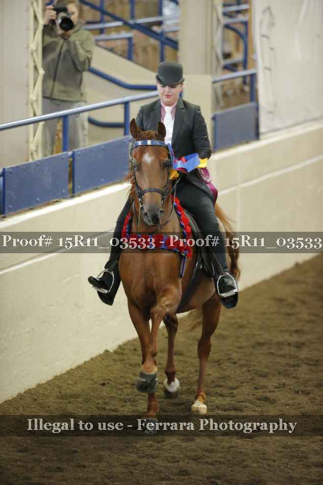 Proof 15R11_03533