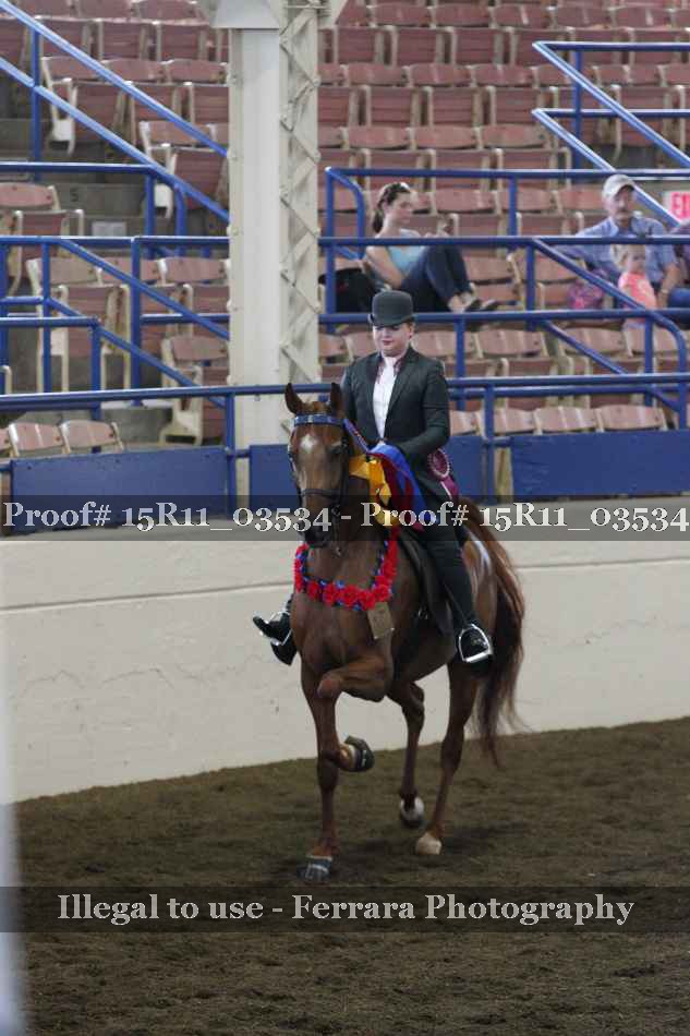 Proof 15R11_03534
