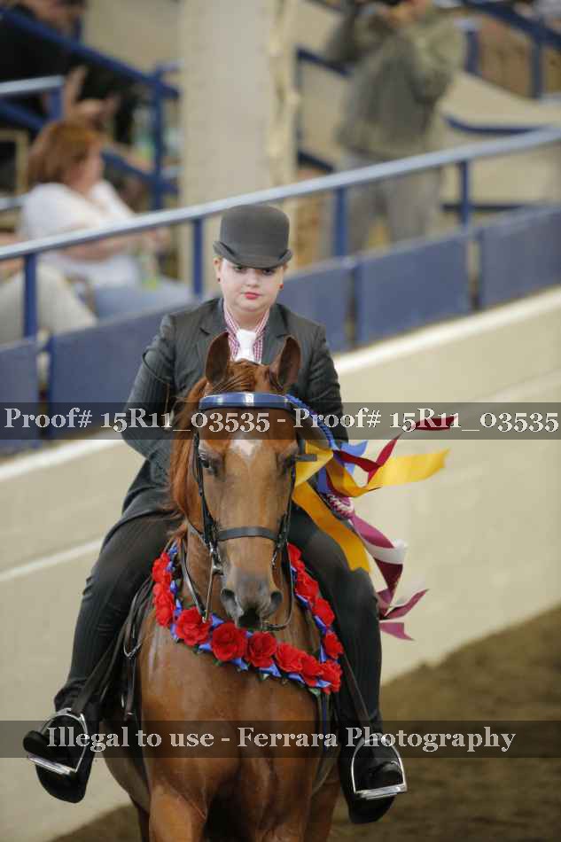 Proof 15R11_03535