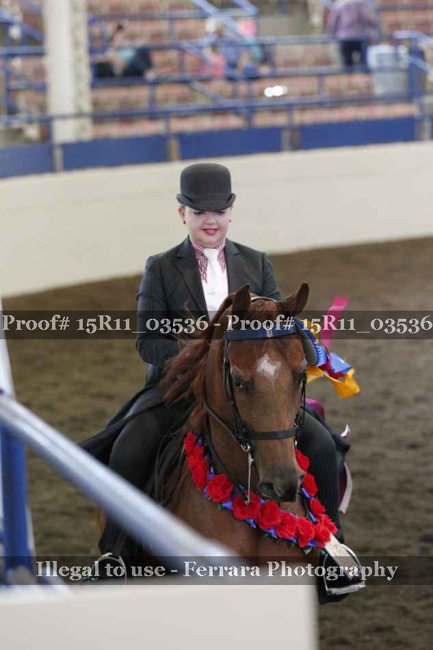 Proof 15R11_03536