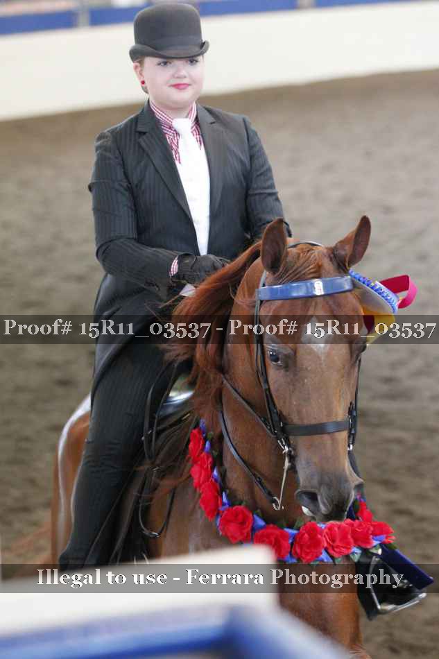 Proof 15R11_03537