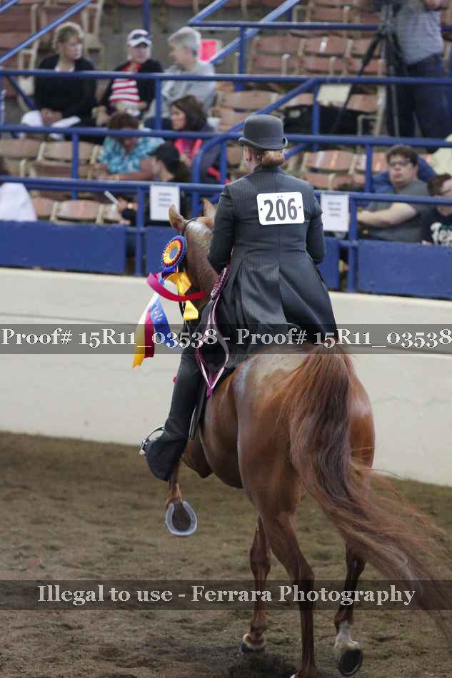 Proof 15R11_03538
