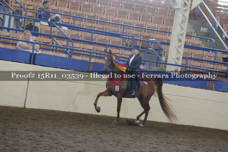 Proof 15R11_03539