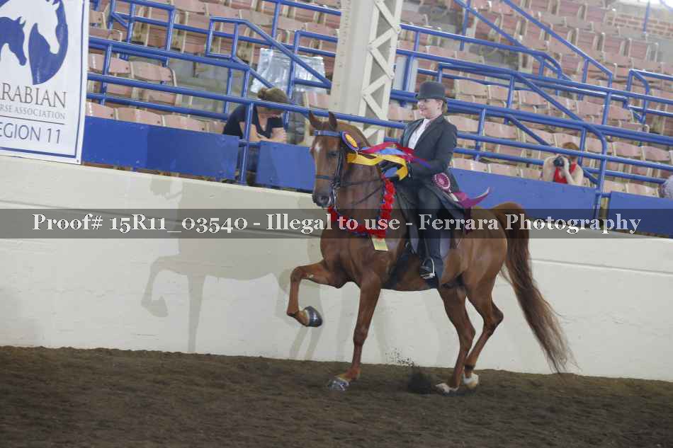Proof 15R11_03540
