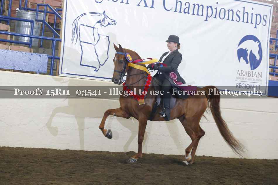 Proof 15R11_03541