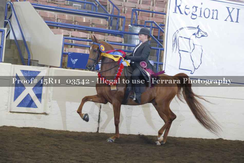 Proof 15R11_03542