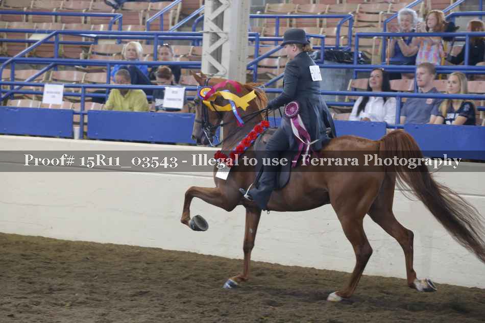 Proof 15R11_03543