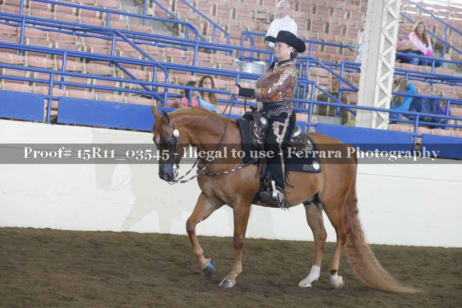 Proof 15R11_03545