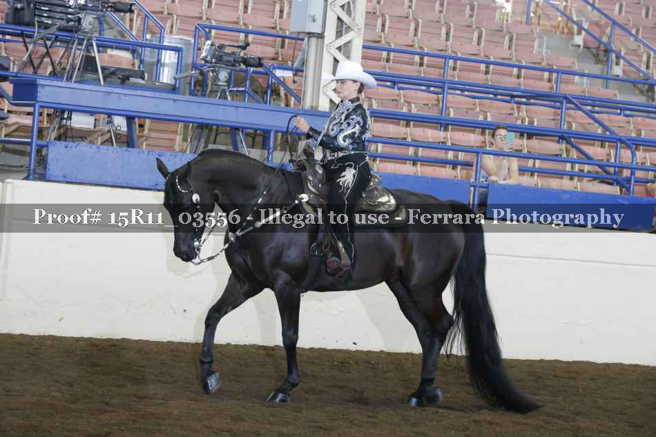 Proof 15R11_03556
