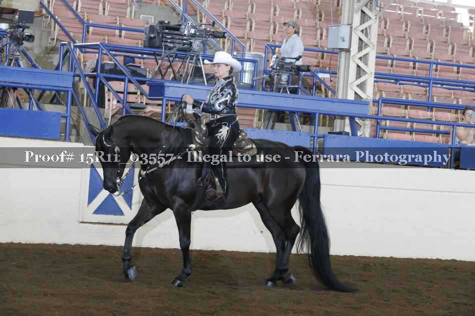 Proof 15R11_03557