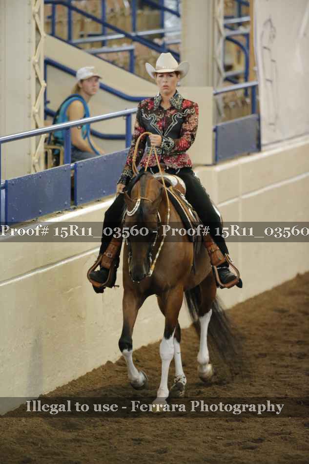Proof 15R11_03560
