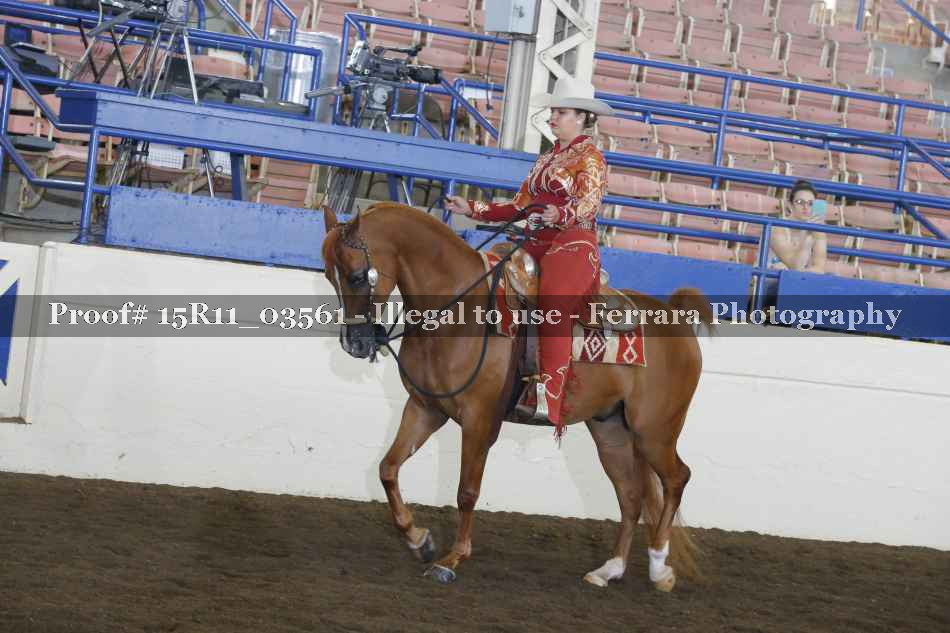 Proof 15R11_03561