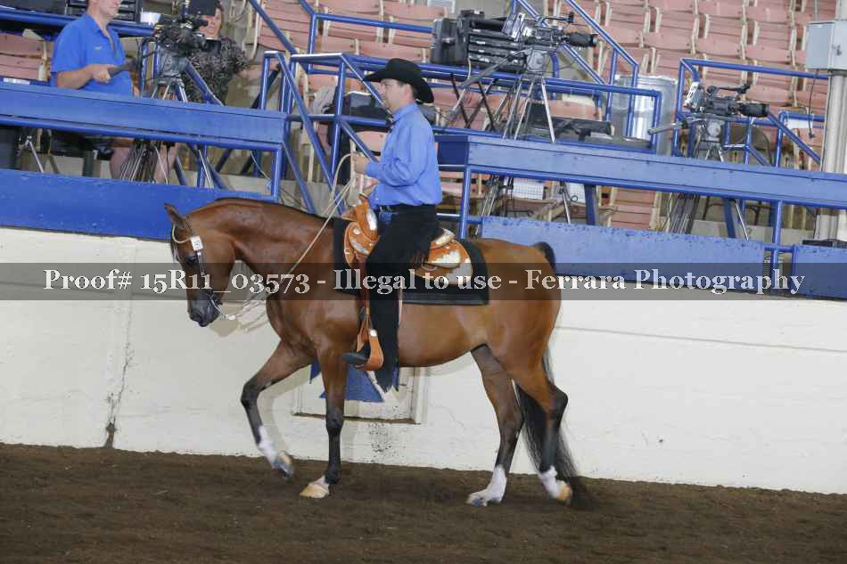 Proof 15R11_03573