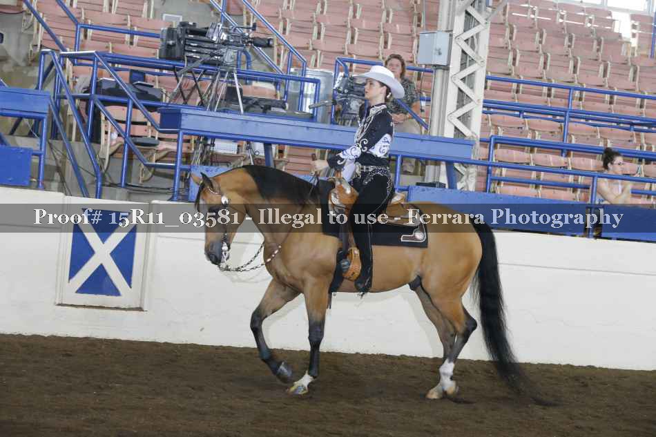 Proof 15R11_03581