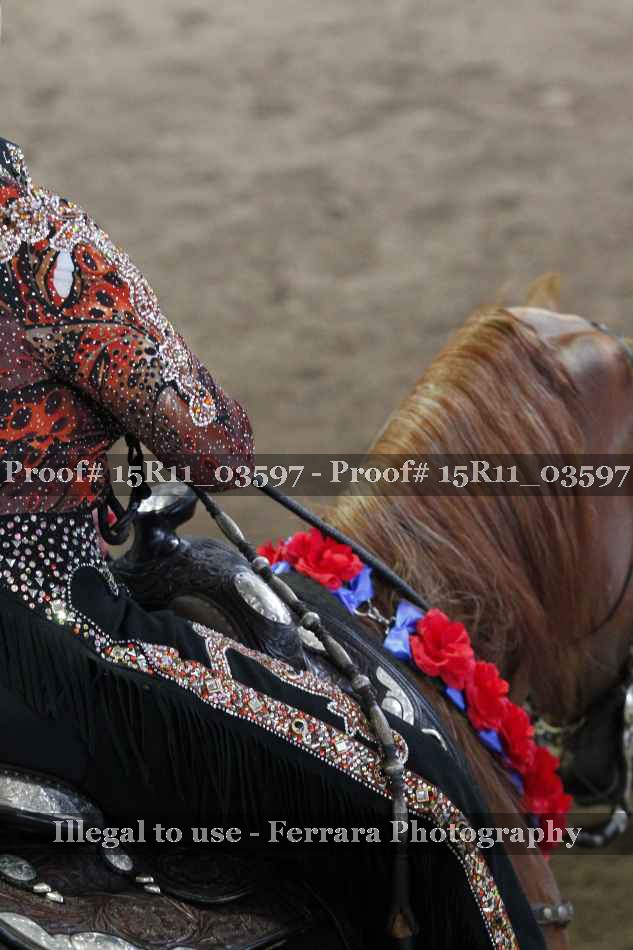 Proof 15R11_03597