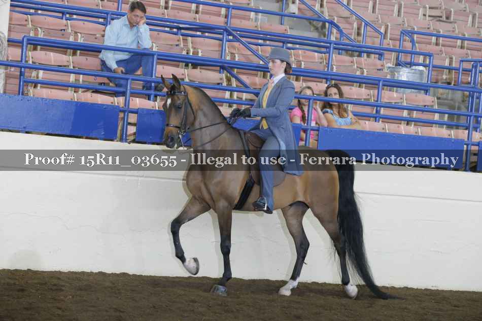 Proof 15R11_03655