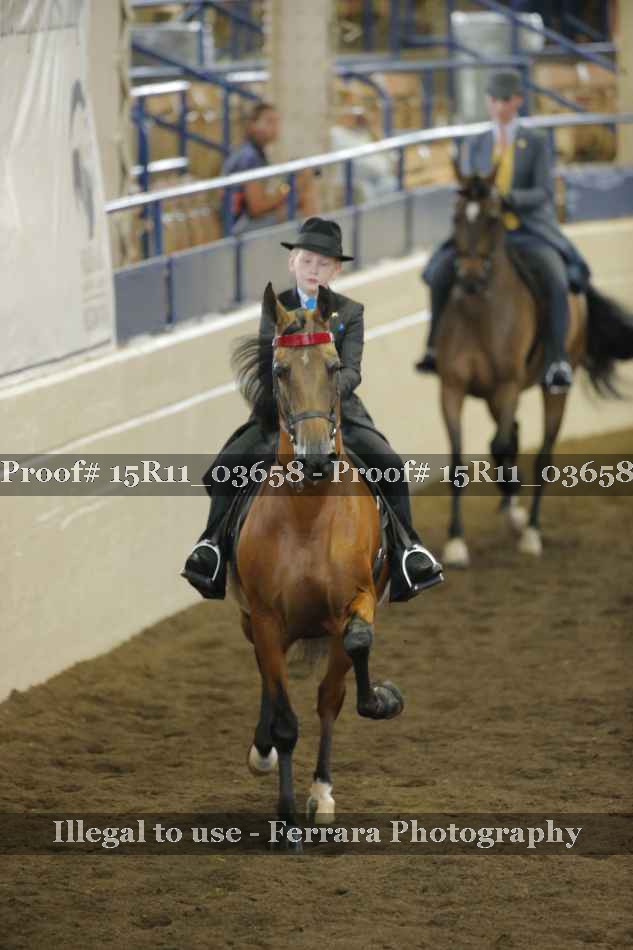 Proof 15R11_03658