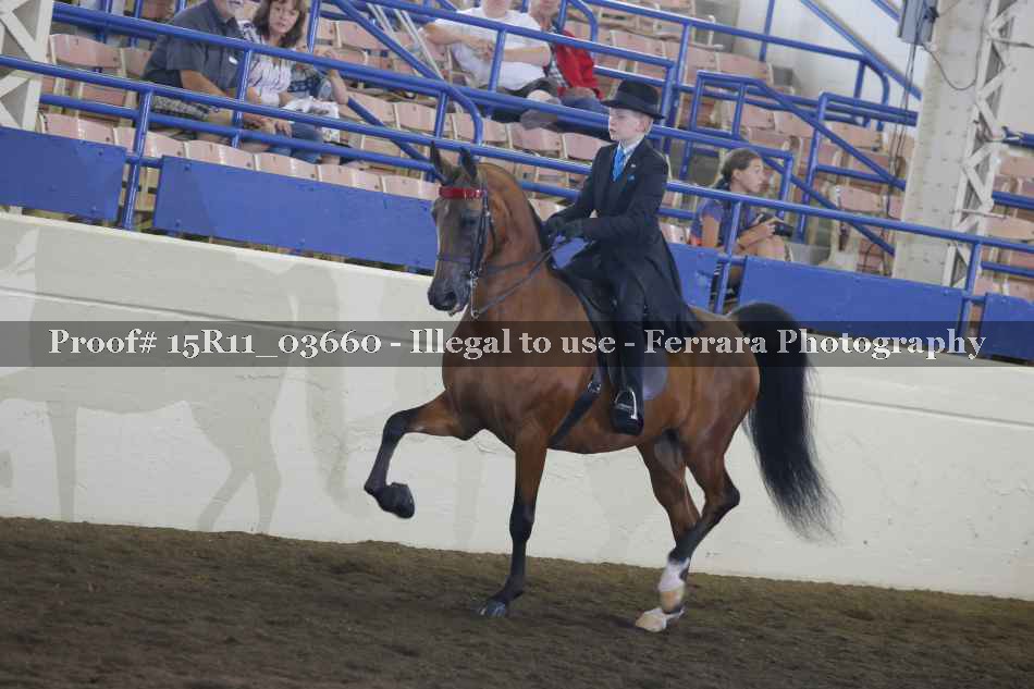 Proof 15R11_03660
