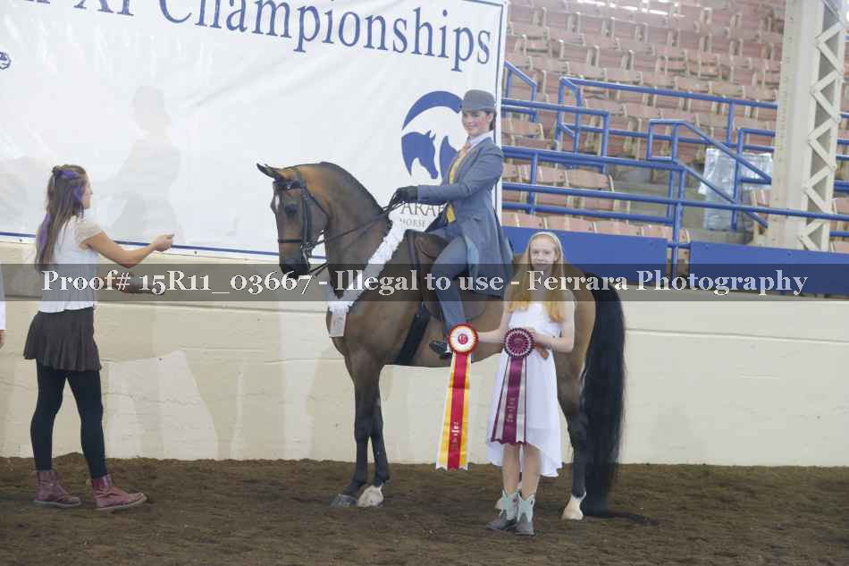 Proof 15R11_03667