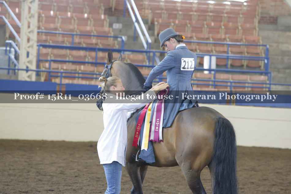 Proof 15R11_03668