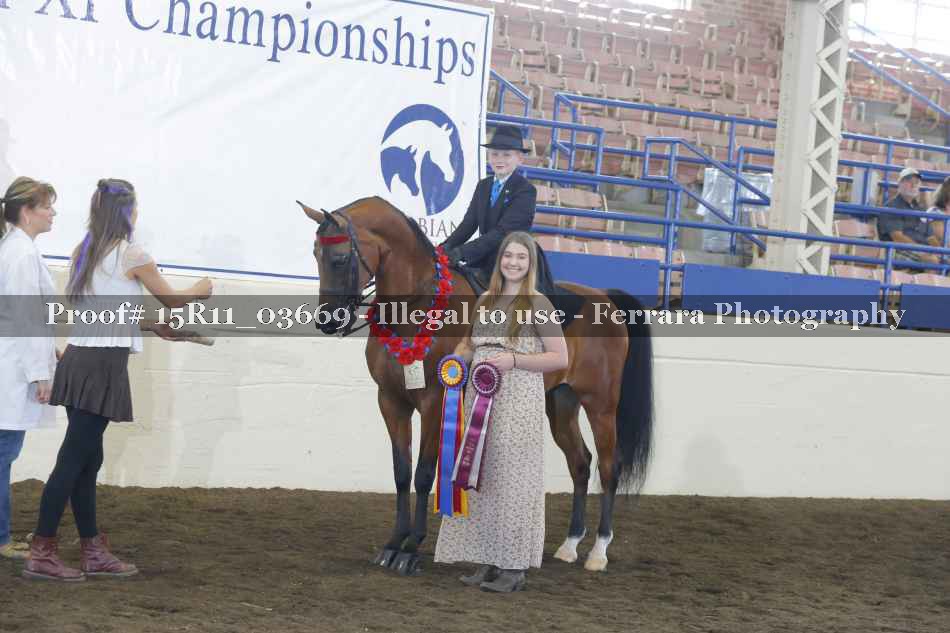Proof 15R11_03669