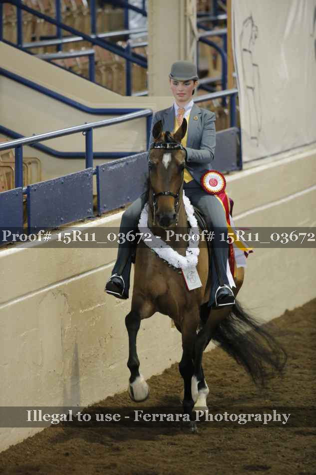 Proof 15R11_03672