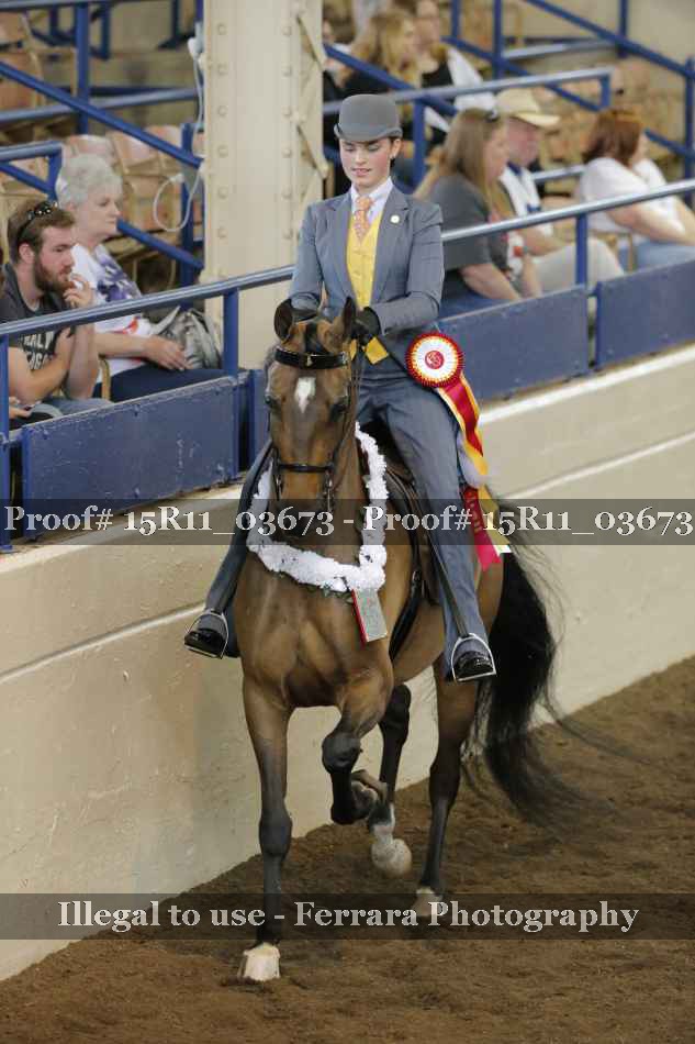 Proof 15R11_03673