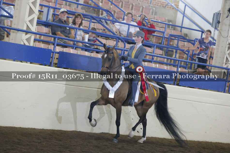 Proof 15R11_03675