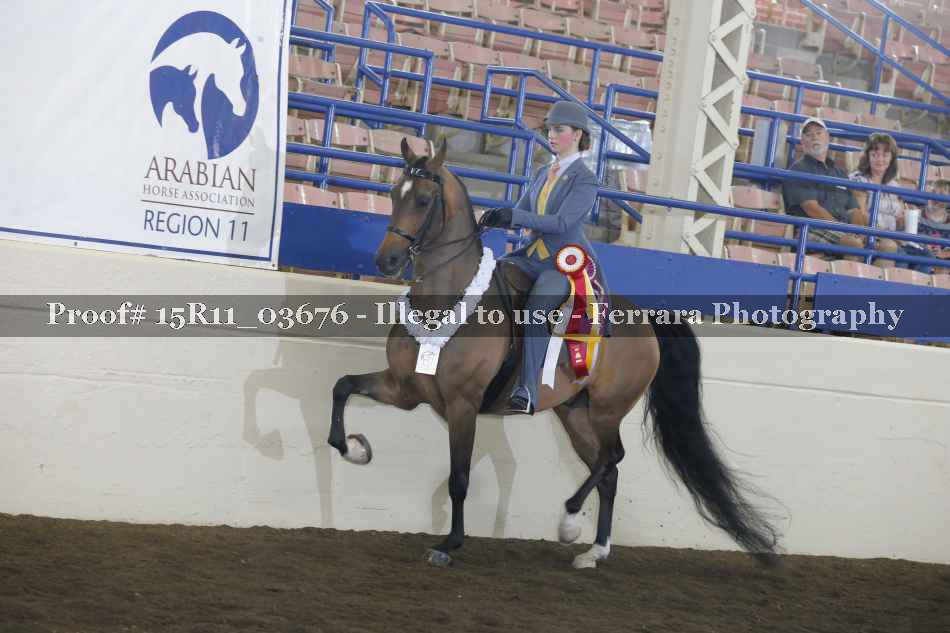 Proof 15R11_03676
