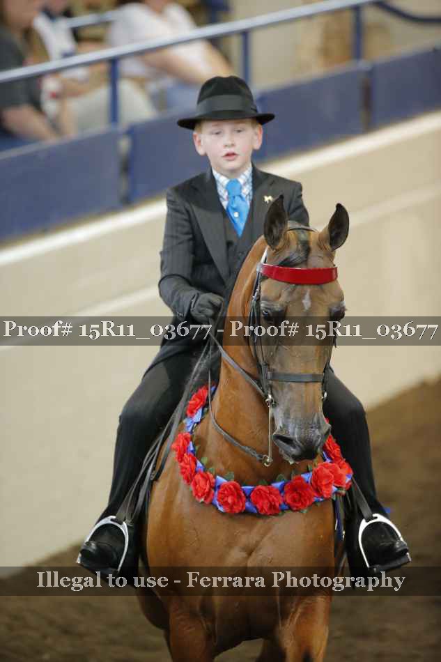 Proof 15R11_03677