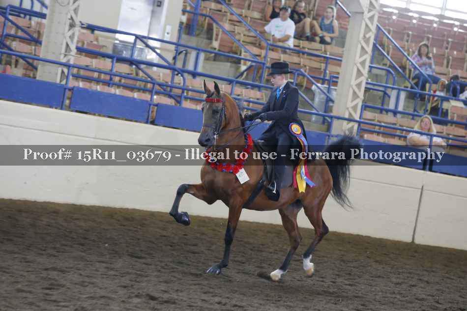 Proof 15R11_03679