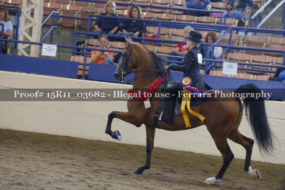 Proof 15R11_03682