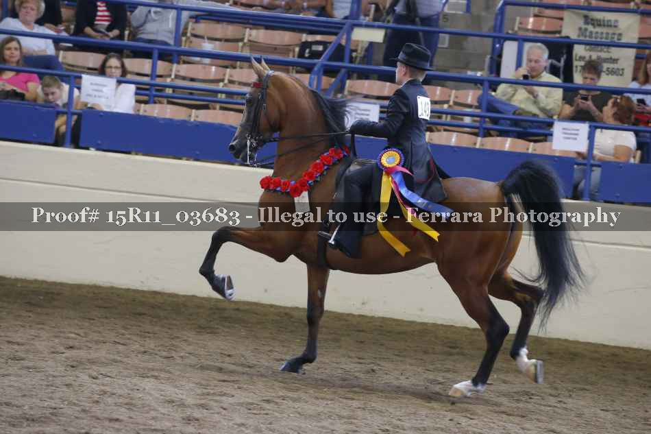 Proof 15R11_03683