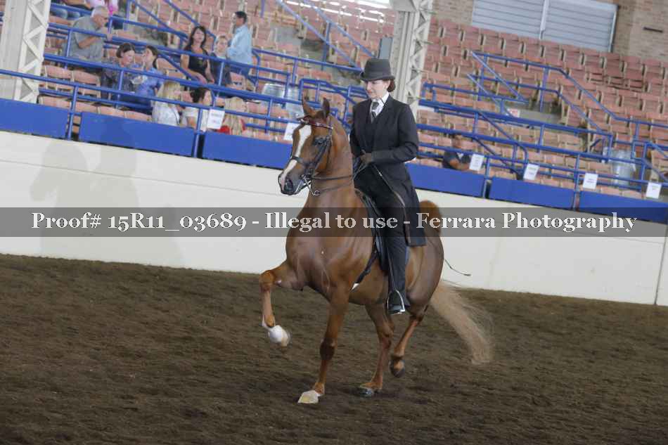 Proof 15R11_03689