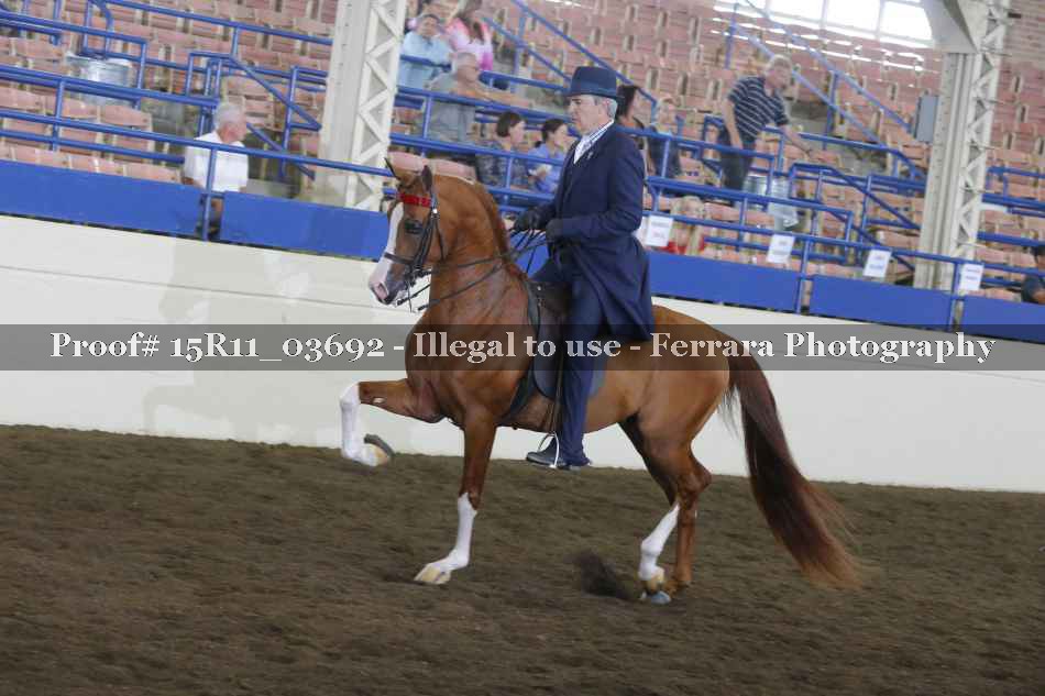 Proof 15R11_03692