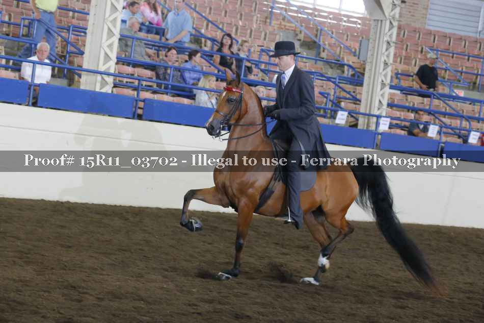 Proof 15R11_03702